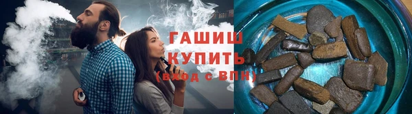 гидра Богородицк
