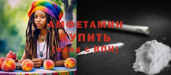 гидра Богородицк