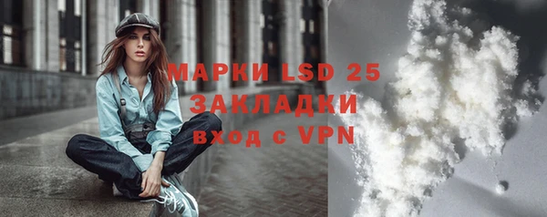 гидра Богородицк