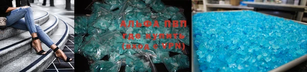 гидра Богородицк
