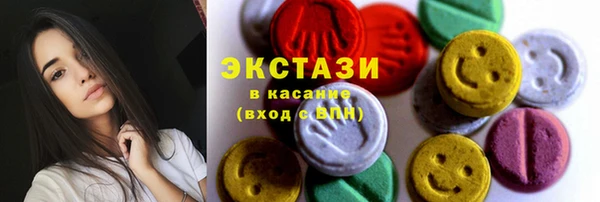 гидра Богородицк