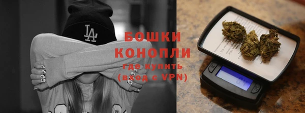 гидра Богородицк