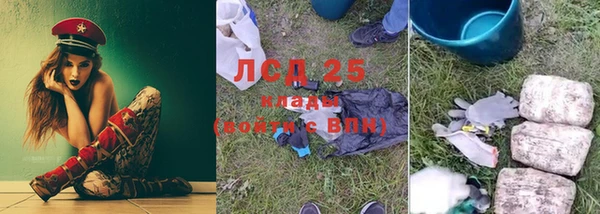 гидра Богородицк