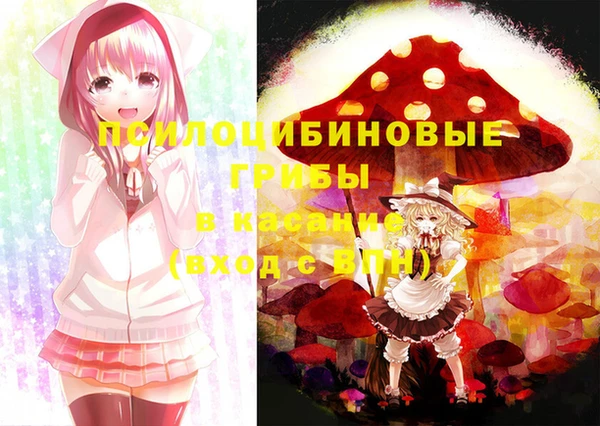 гашиш Богданович