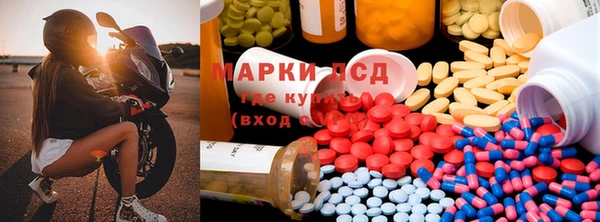 гашиш Богданович