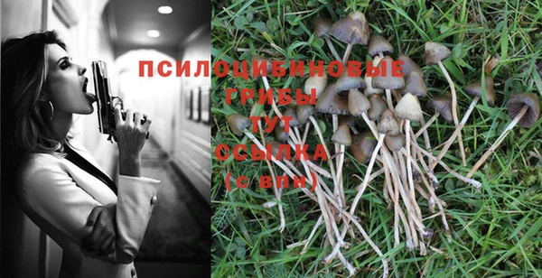 гидра Богородицк