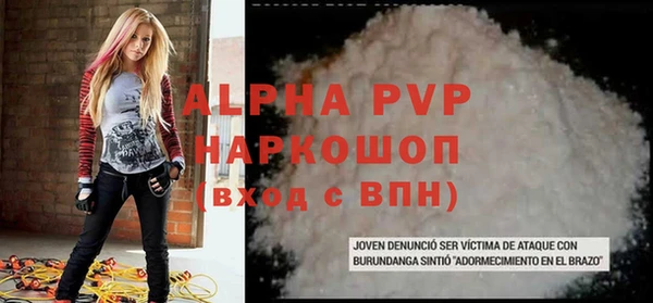 гидра Богородицк